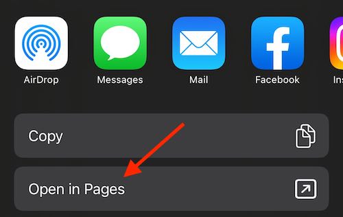 You will then want to select Open in Pages within Notes.